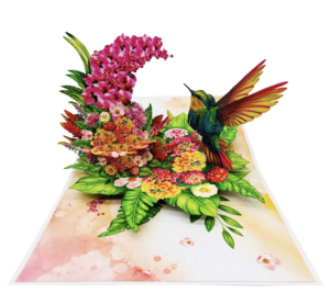 Tropical Hummingbird