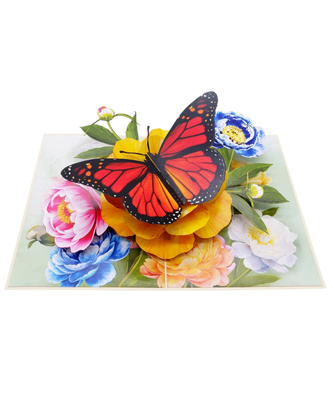 Monarch on Roses Pop Up Card