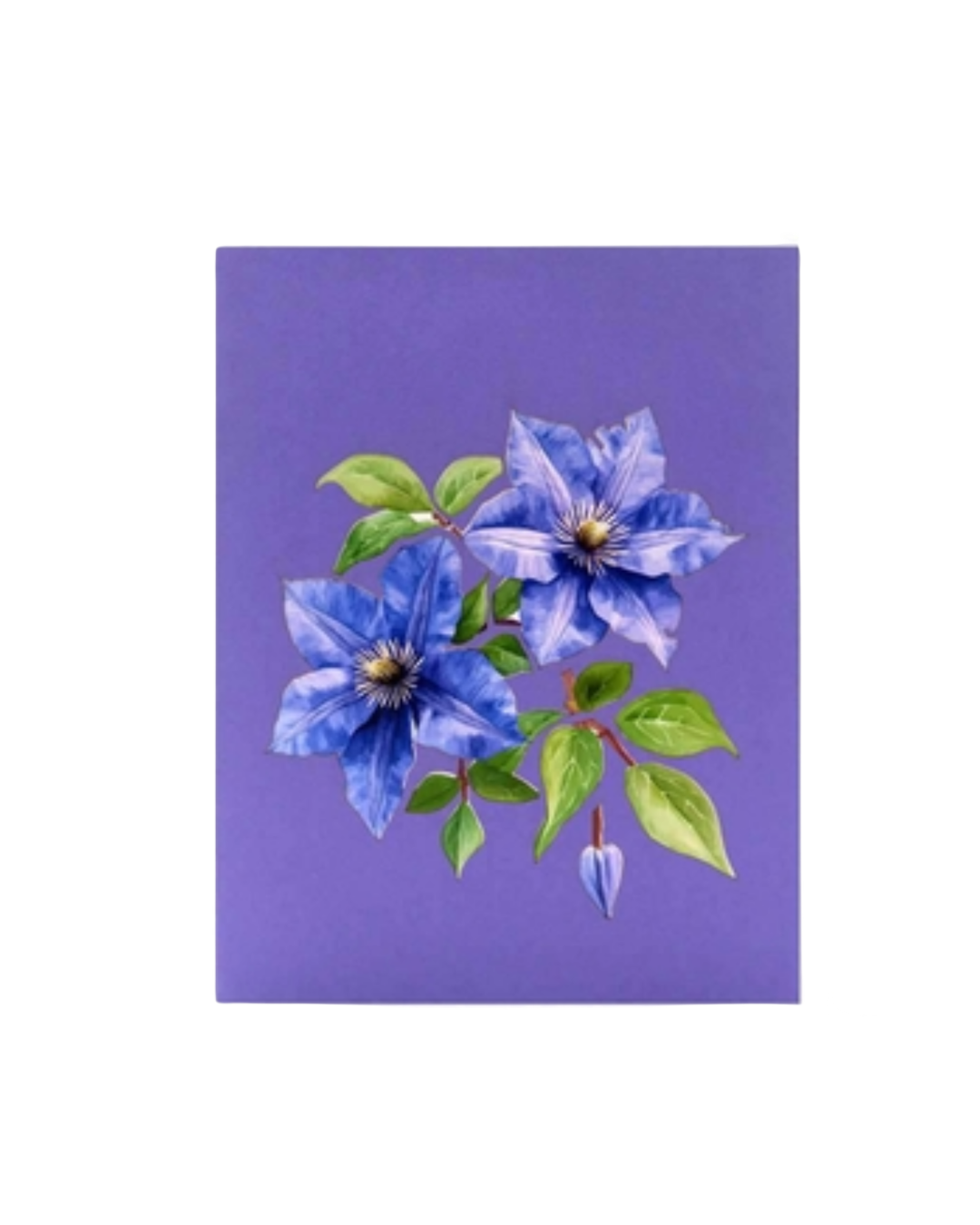 Clematis Doorway Pop Up Card - Image 3