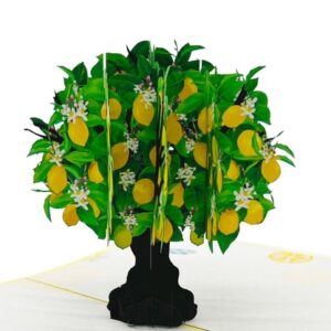 Lemon Tree Pop Up Card